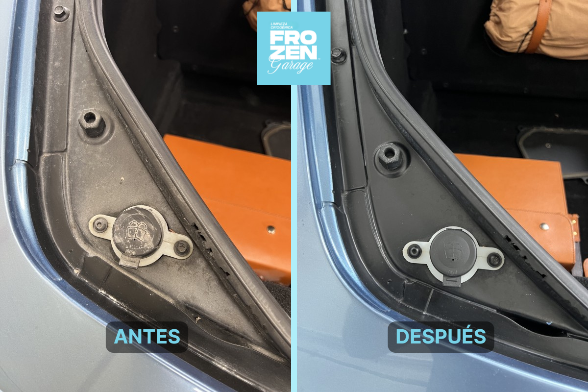 Documentación del trabajo